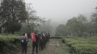 DSC08963.JPG
