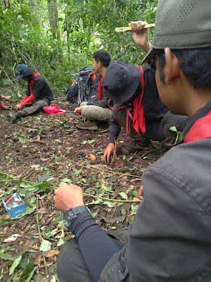 RA_20251228_102419_lmc_8.4.MP.jpg