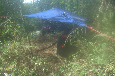 DSCF6601.RAF