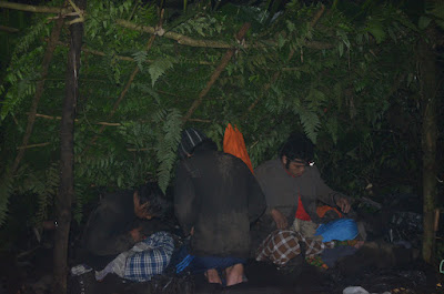 DSC_0228.JPG