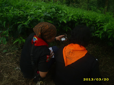 DSCI7744.JPG