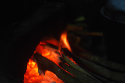 DSC_0092.NEF