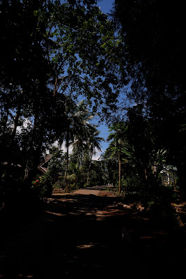 DSCF2122.JPG