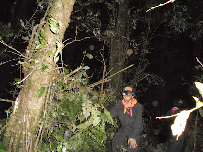 DSCN1517.JPG