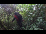 GOPR9954.THM