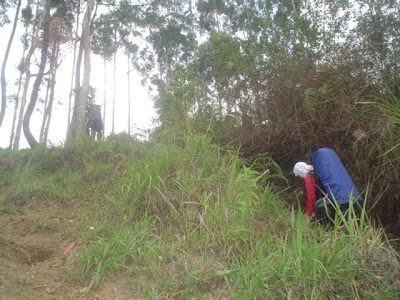 DSC01345.JPG
