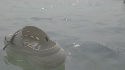 20260811_085146.mp4