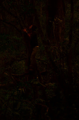 DSC_0344.JPG