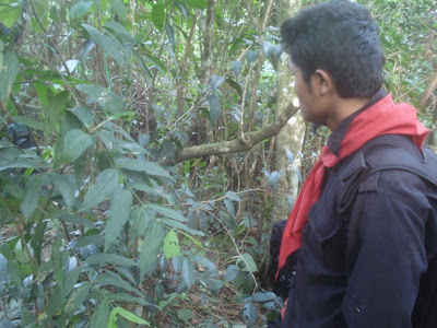 DSC02429.JPG