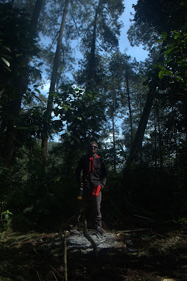 DSCF6581.RAF