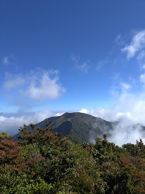 RA_20250723_092049_lmc_8.4.jpg