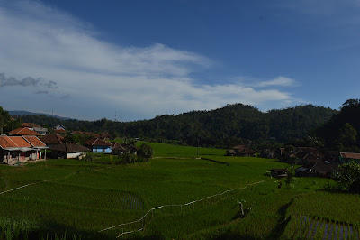 DSC_0091.JPG