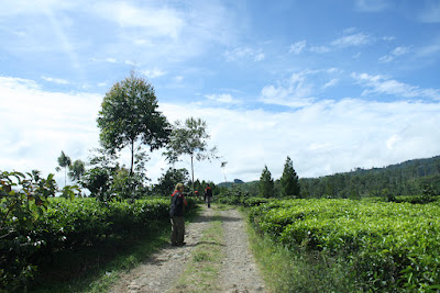 IMG_9926.JPG