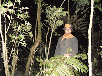 DSCN1515.JPG