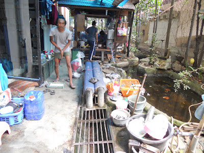 DSCN1706.JPG