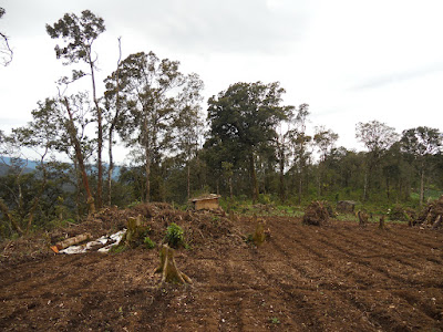 DSCN1406.JPG