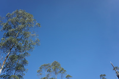 DSC02106.JPG