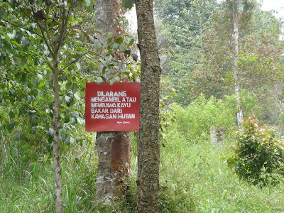 P1040876.JPG