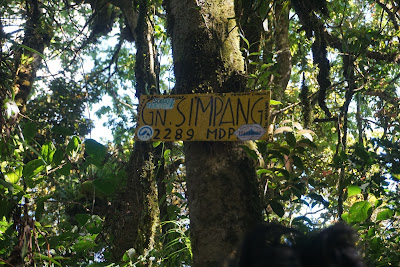 DSC02286.JPG