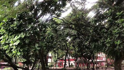 IMG_4704.MOV