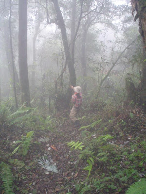 DSC02040.jpg