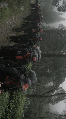 DSC08870.JPG