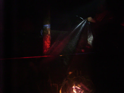 DSC08075.JPG