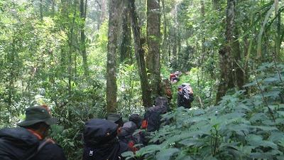 IMG_2834.JPG