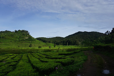DSC07811.JPG