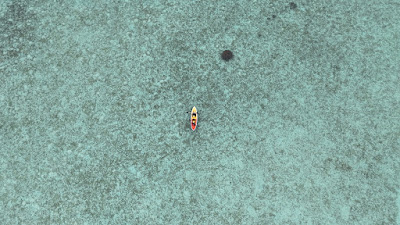 DJI_20250512164453_0135_D.JPG