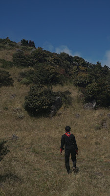 DSC03584.JPG