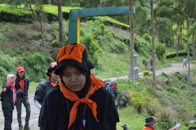DSC_0142.JPG