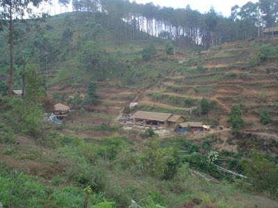 Survey GH I - 11.JPG