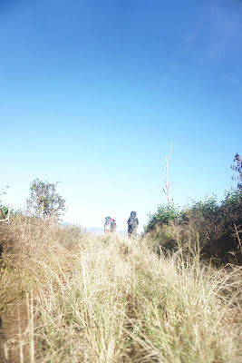 DSC02048.JPG