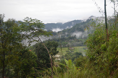 DSC_0374.JPG