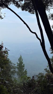 IMG_4724.HEIC