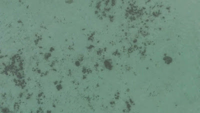 DJI_20250511064427_0035_D.MP4