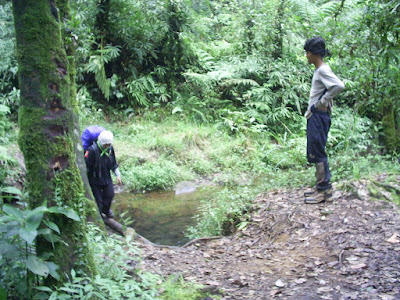 S3020041.JPG