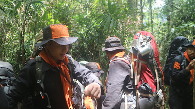 IMG_2829.JPG