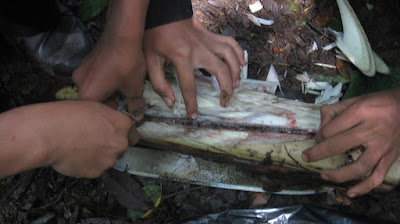 IMG_0725.jpg
