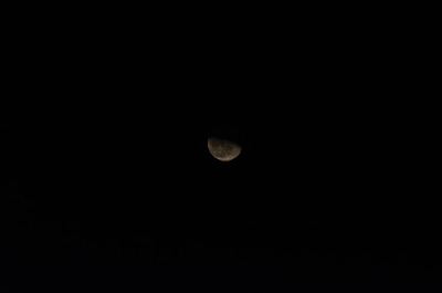 DSC_5877.JPG