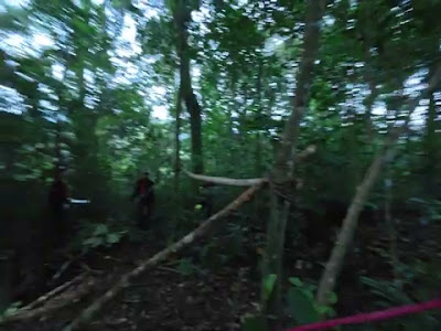 dji_mimo_20260528_172820_20260528172821_1780375261004_video.mp4