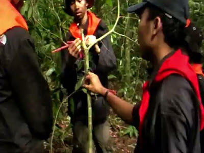 MOV009.MOD