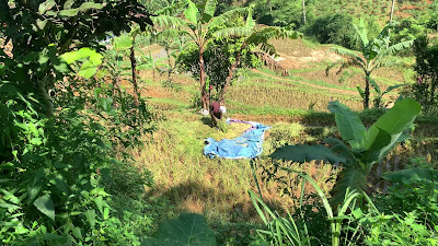 IMG_1951.MOV