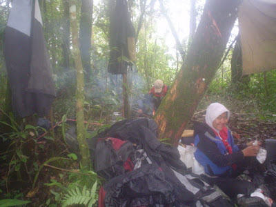 DSC02856.JPG