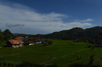 DSC_0090 - Copy.JPG