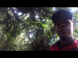 GOPR0214.THM