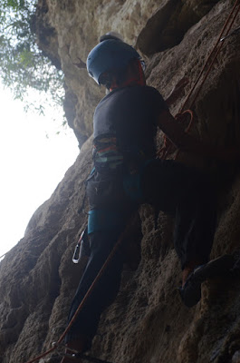 DSC_4790.JPG