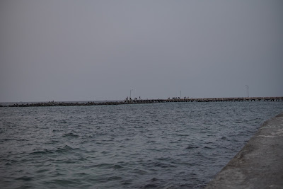 DSC06630.JPG