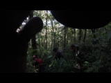 GOPR0215.THM